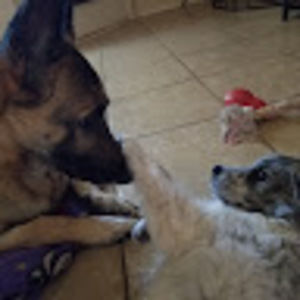 Meet your Posher, Leslie